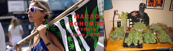 мет Алексин