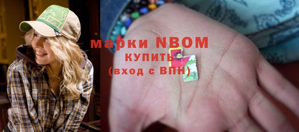 мет Алексин