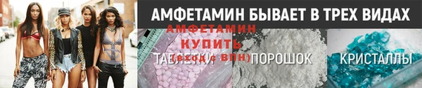 прущие грибы Алзамай