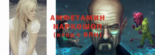 мет Алексин