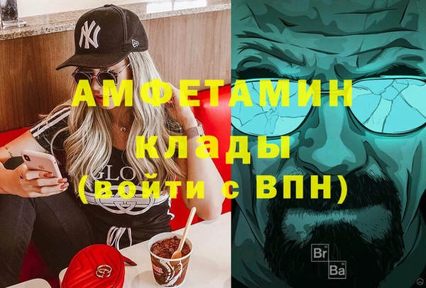 мет Алексин