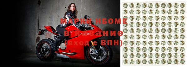 прущие грибы Алзамай