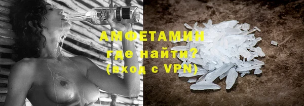 мет Алексин